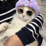 Paloma Galarce Profile Picture