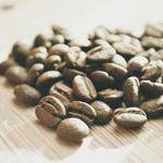 Kale Cronin Profile Picture