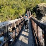 Iv谩n Aravena Pavez Profile Picture