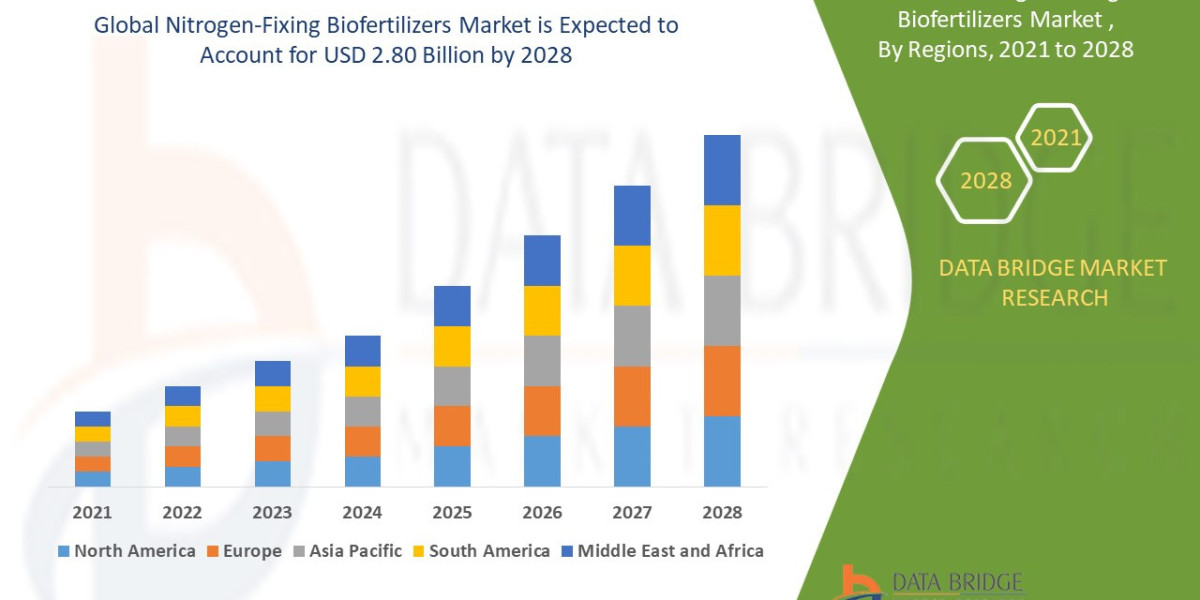 Nitrogen-Fixing Biofertilizers Market Dynamics: Trends and Forecast 2025 –2032