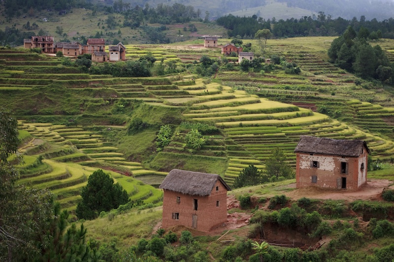 Building Resilience in Agriculture - National Geographic Society